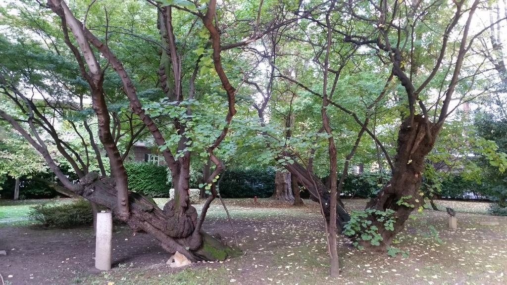 Park Emma Milano